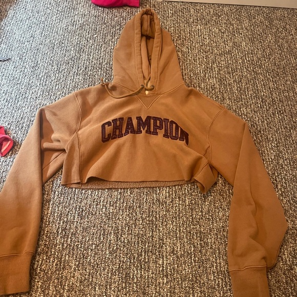 Champion Sweaters - Cropped Vintage Champion Sweater - Brown and Purple